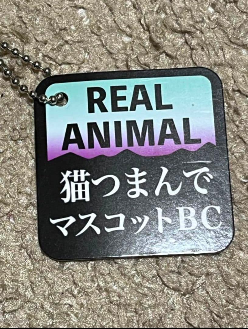 猫 つまんで マスコット ボールチェーン リアルアニマル とら猫 シャム猫