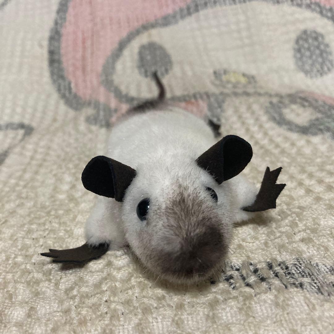 ケーセン Koesen ぬいぐるみ サイアミーズラット　中古品