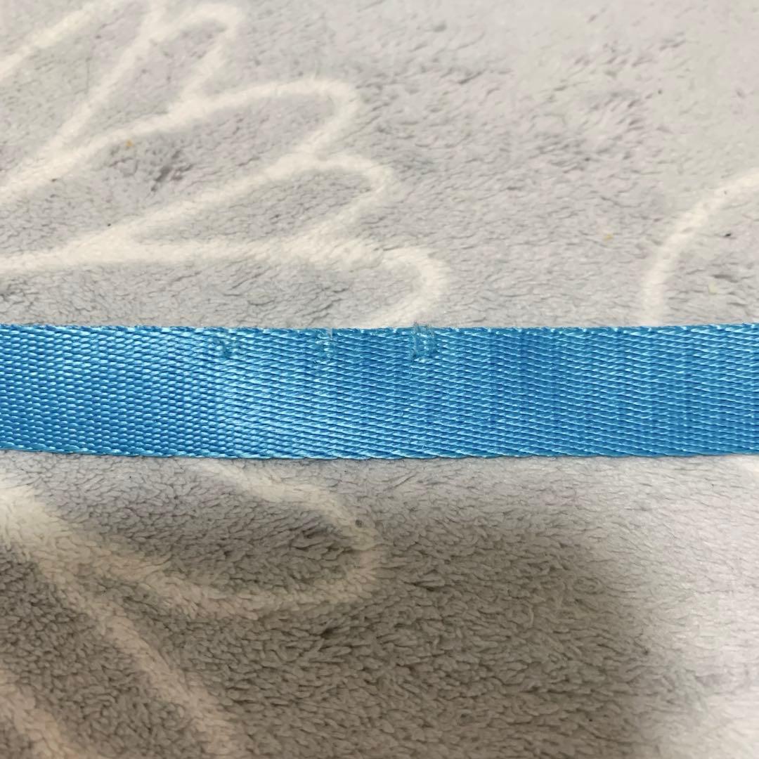 バディベルト　BBスポーツブルー　サイズ3.5 リードセット