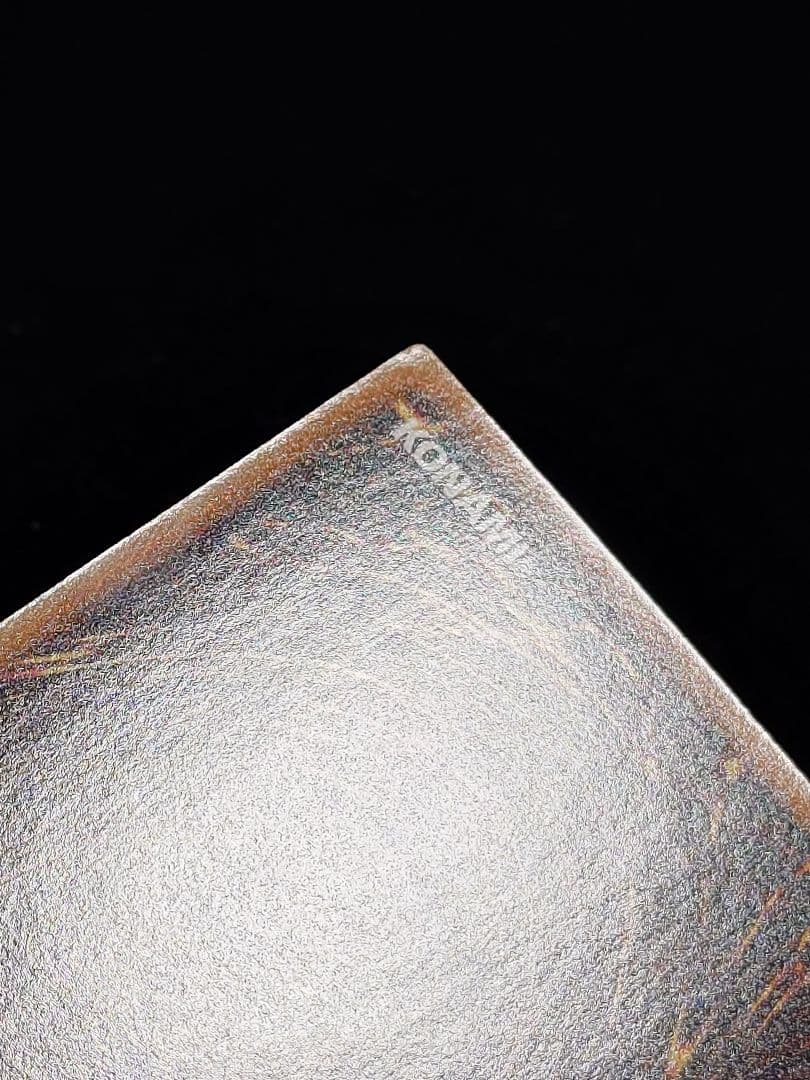 ブラック・ローズ・ドラゴン ホロ