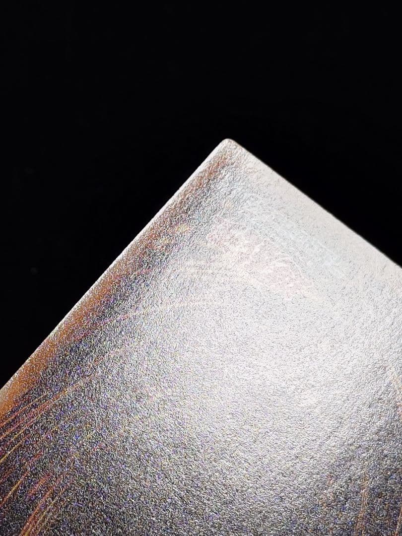 ブラック・ローズ・ドラゴン ホロ