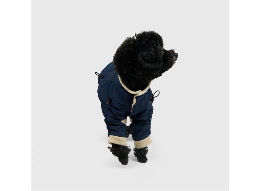 Howly APOLLO SUITS Navy（Off-white）　XXL