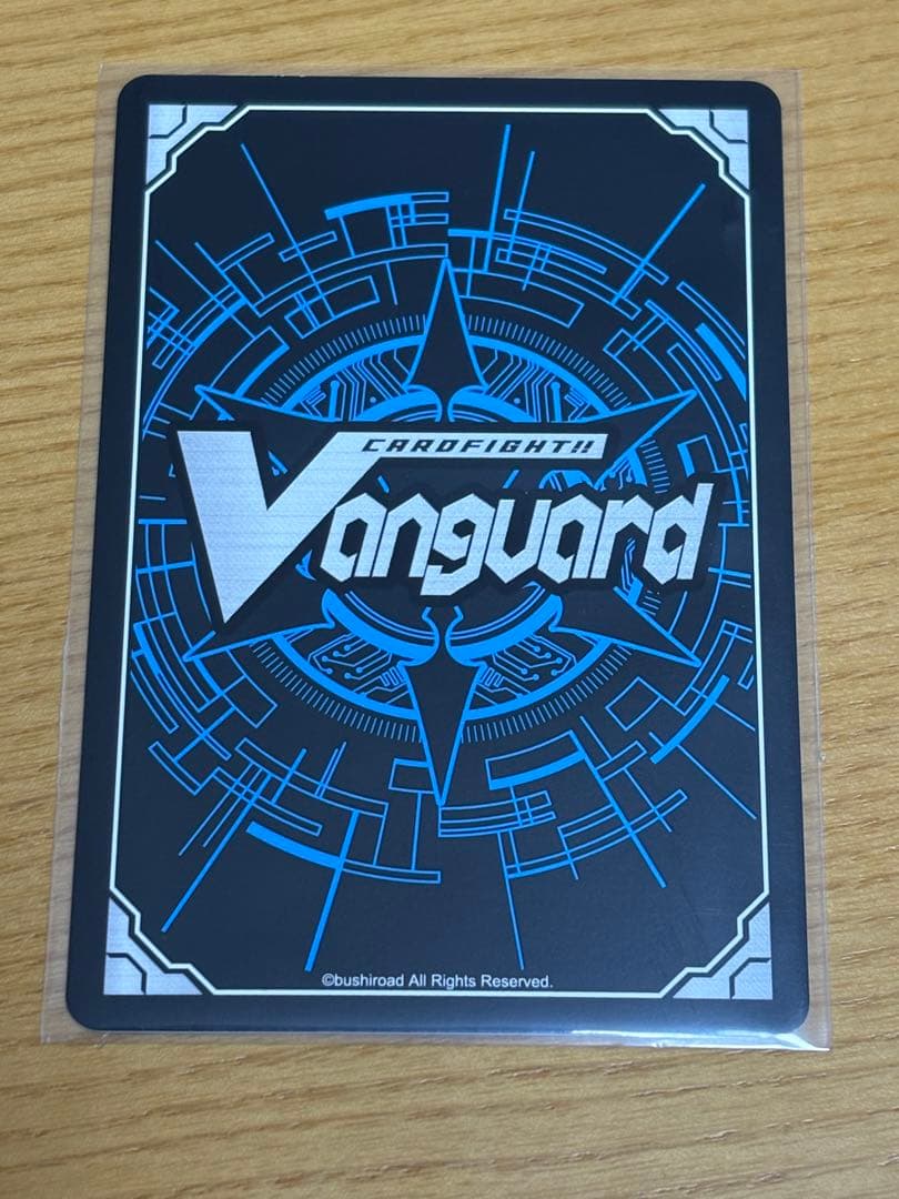 スノウスキップ パルヴィ TGR+　リリカルモナステリオ　クリスマス