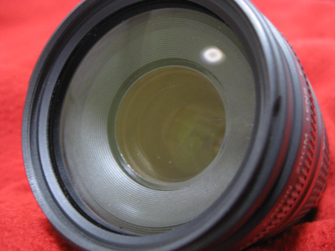 キャノン EFレンズ EF75-300mm F4-5.6 Ⅲ