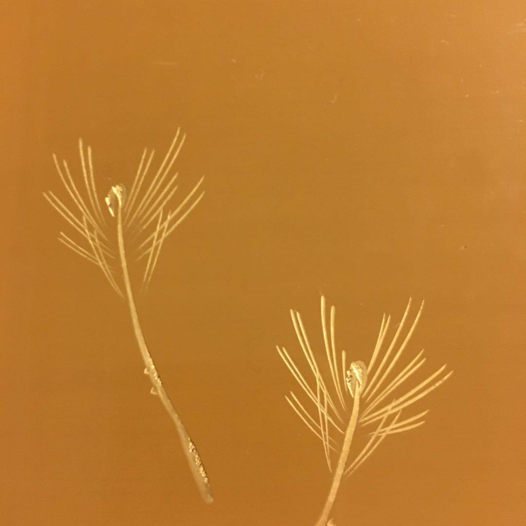 天然木製漆塗　輪島塗　黄漆塗沈金　角盆　芽松模様　本堅地漆器