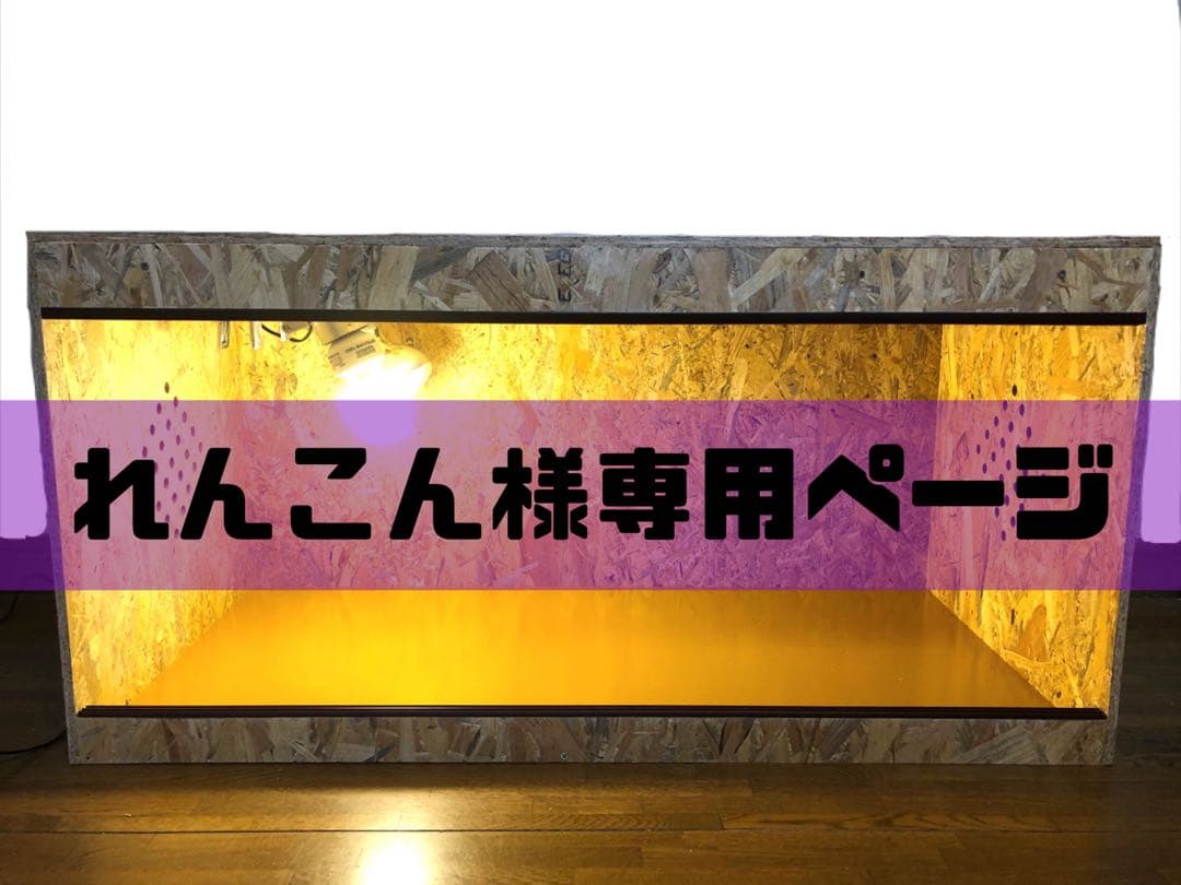 れんこんページ