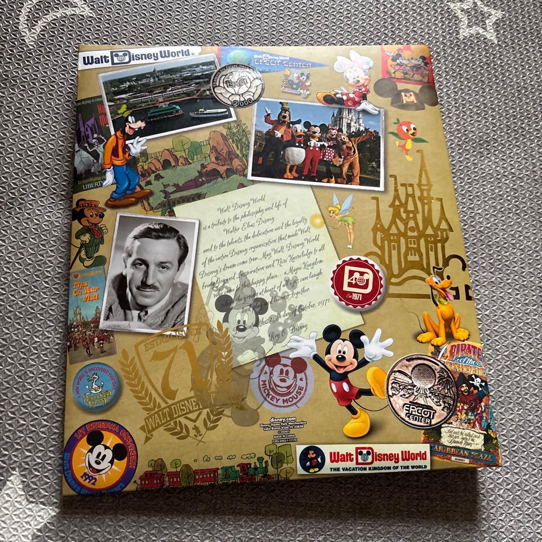 ディズニーワールド　限定ファイル