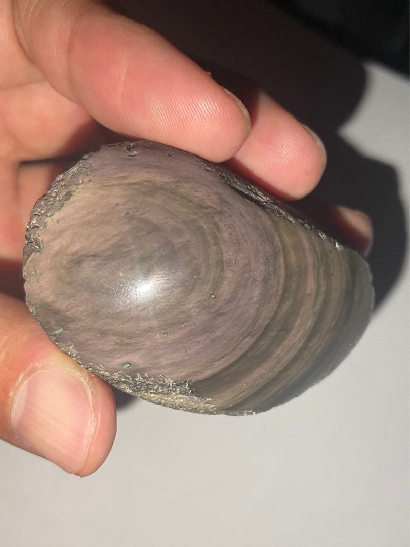 研磨品　十勝石玲瓏　ピンク、イエロー　レインボーオブシディアン