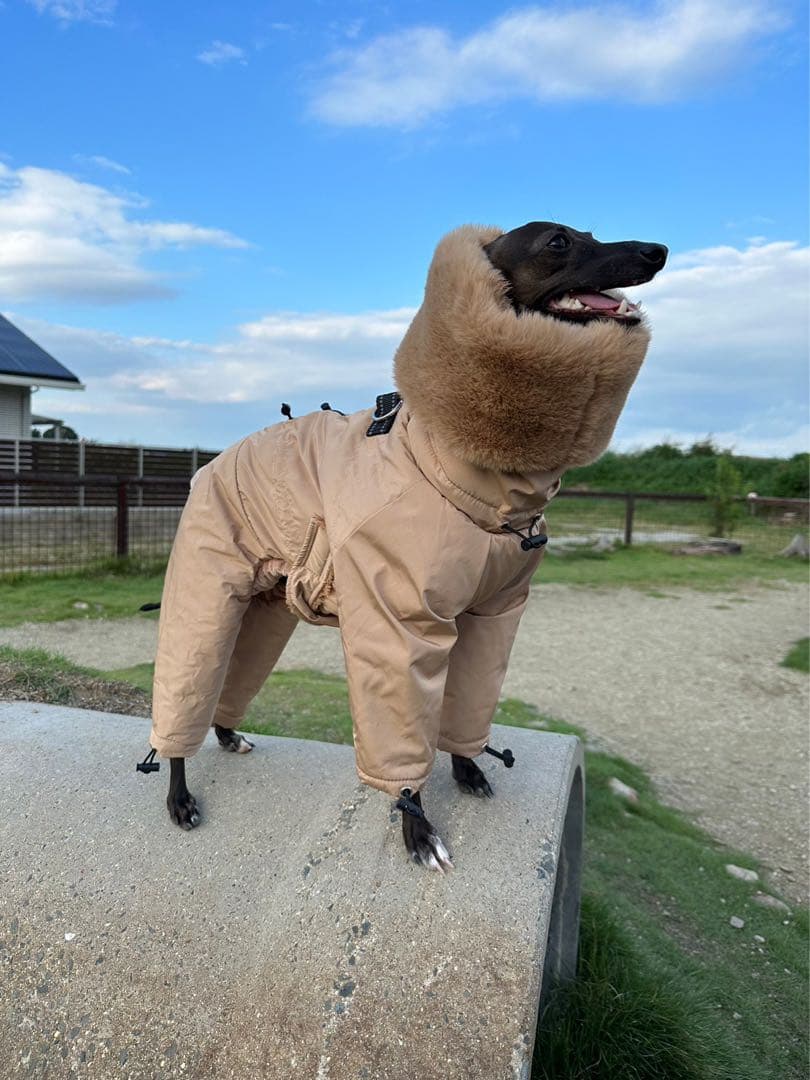 イタグレ スノースーツ2着セット