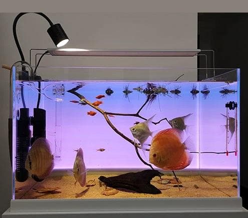 【lcl33】カラーLEDライトスクリーン 30cm x 30cm