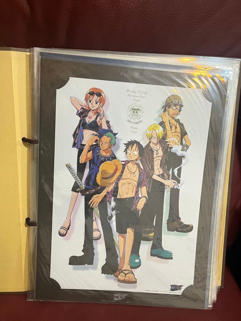 ワンピース　ONE PIECE 海賊団　ポートフォリオ