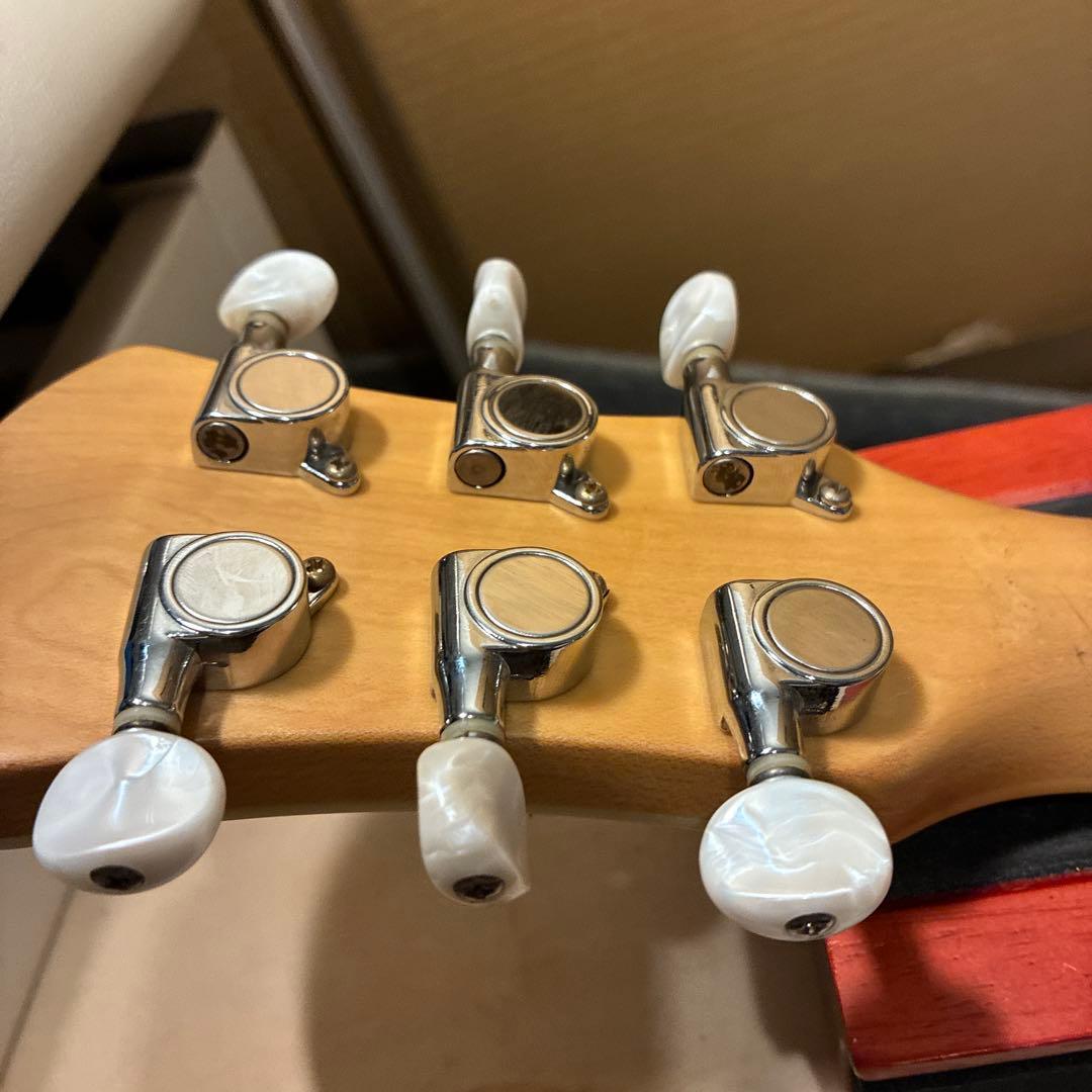 ピグノーズPGG259青