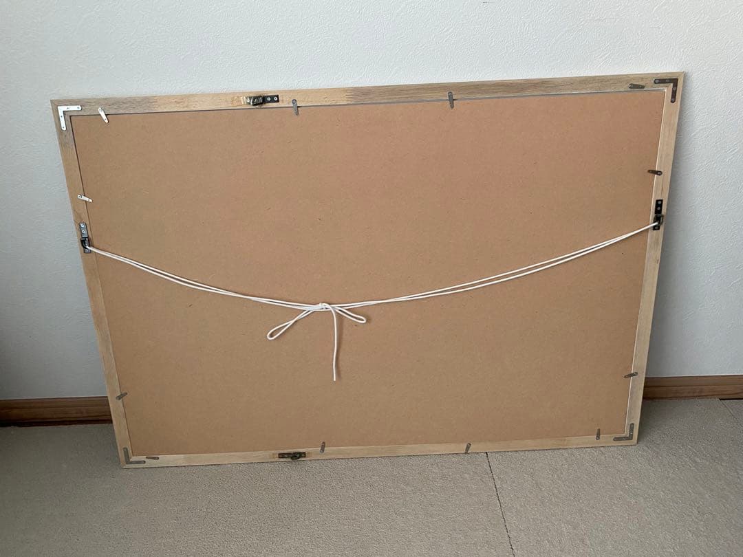 patagonia パタゴニア ポスター 額装品 特大 96cm×66cm