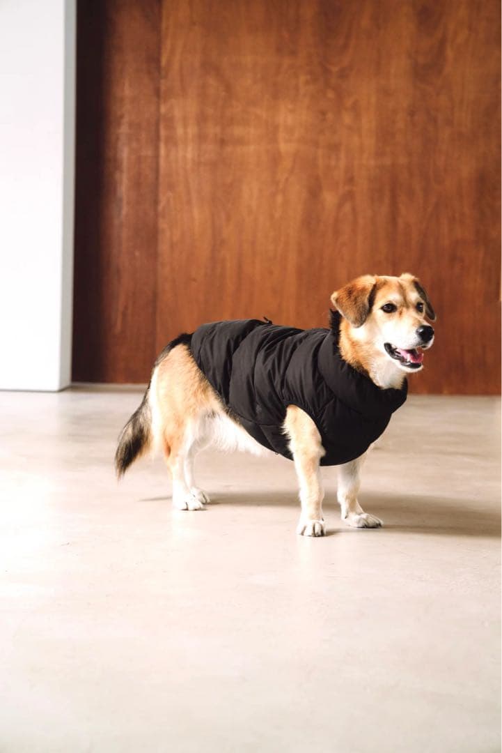 CushyCushy CUSHY PUFFER VEST ブラック サイズ8