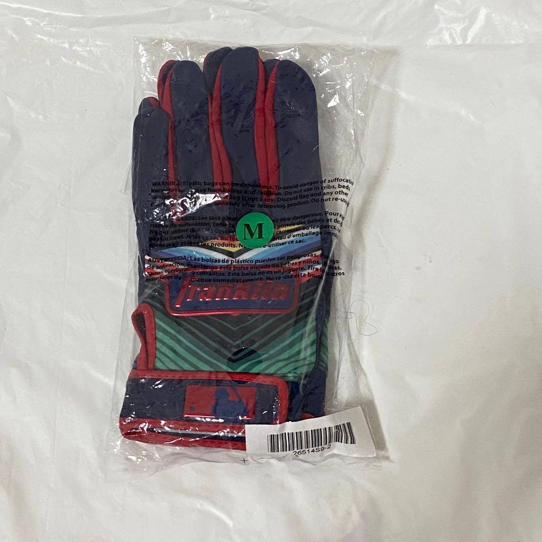 Franklin Pro Classicリンドアモデル ネイビー Mサイズ