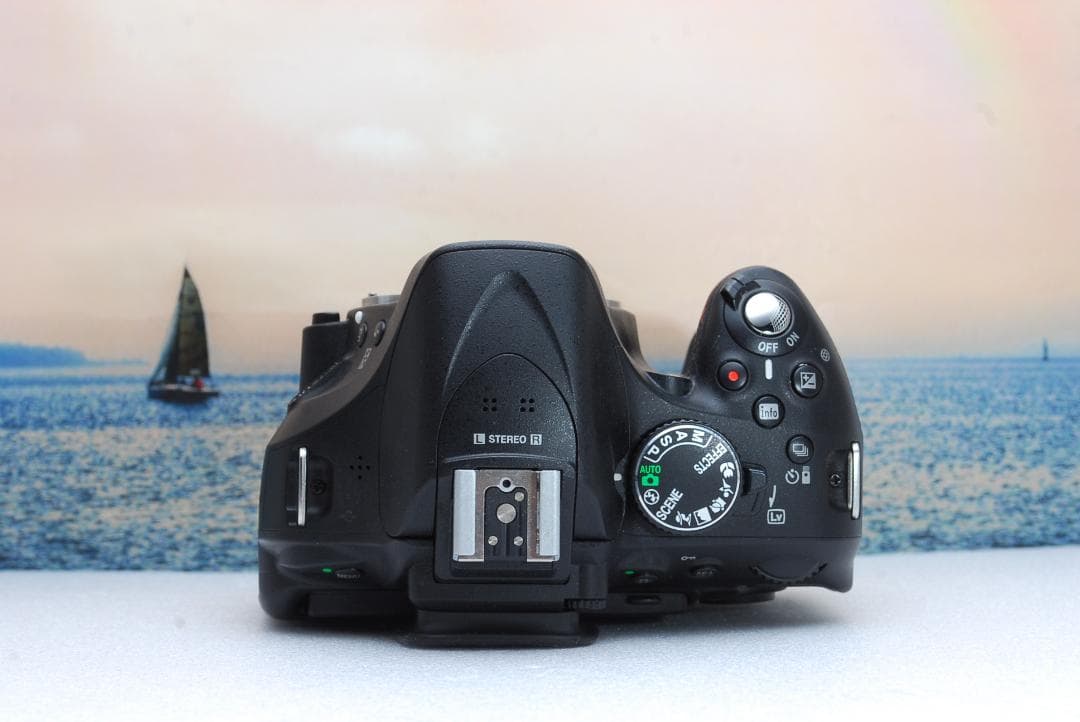 ⭐️高画質⭐️液晶360度回転⭐️自撮りOK⭐️Nikon D5200⭐️ダブルレンズ⭐️