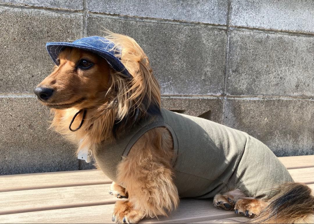 ダックスフンド　DM DML ロンパース　犬服　わんこ服　カーキー　ダックス