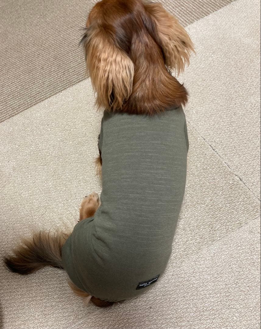 ダックスフンド　DM DML ロンパース　犬服　わんこ服　カーキー　ダックス
