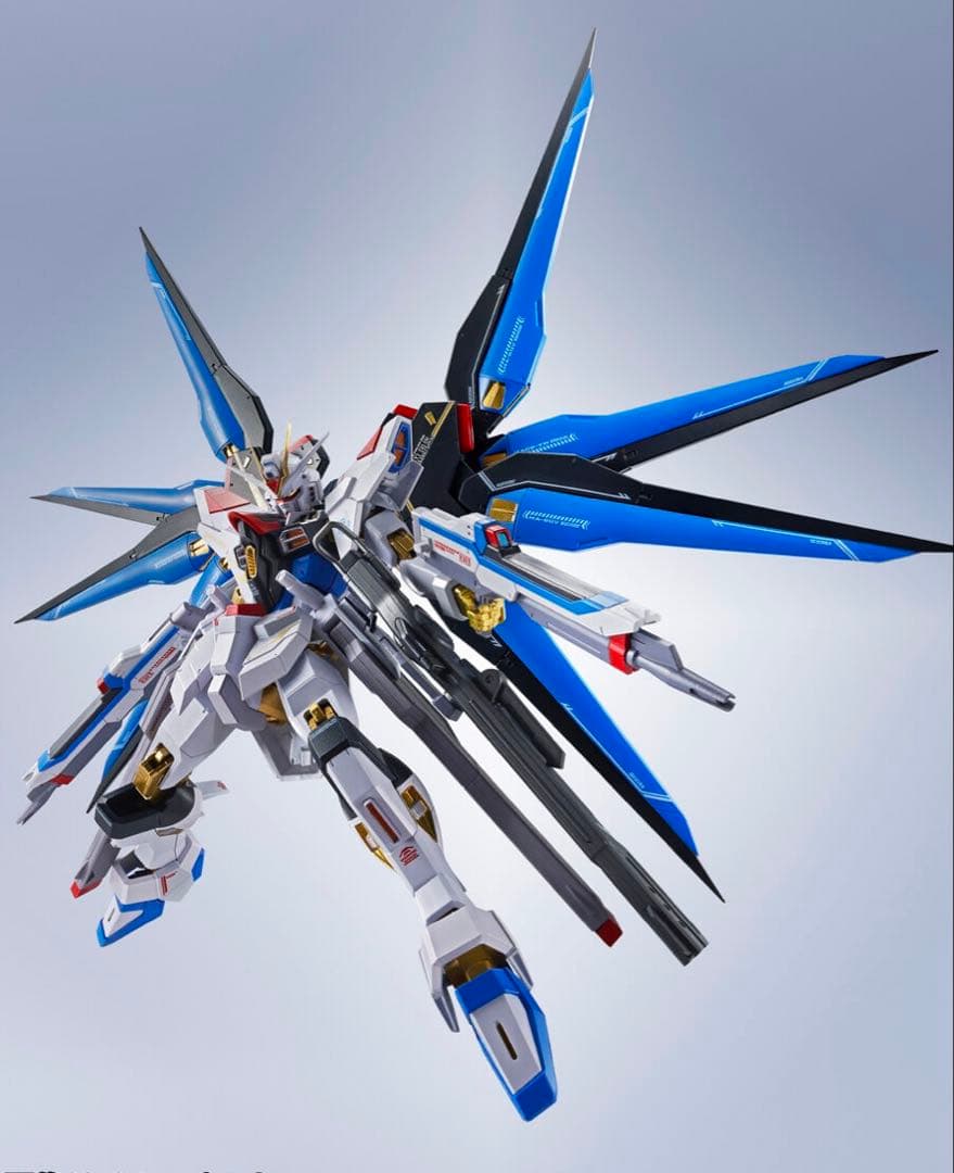 L ROBOT魂 マイティーストライクフリーダム+インジャ弍式