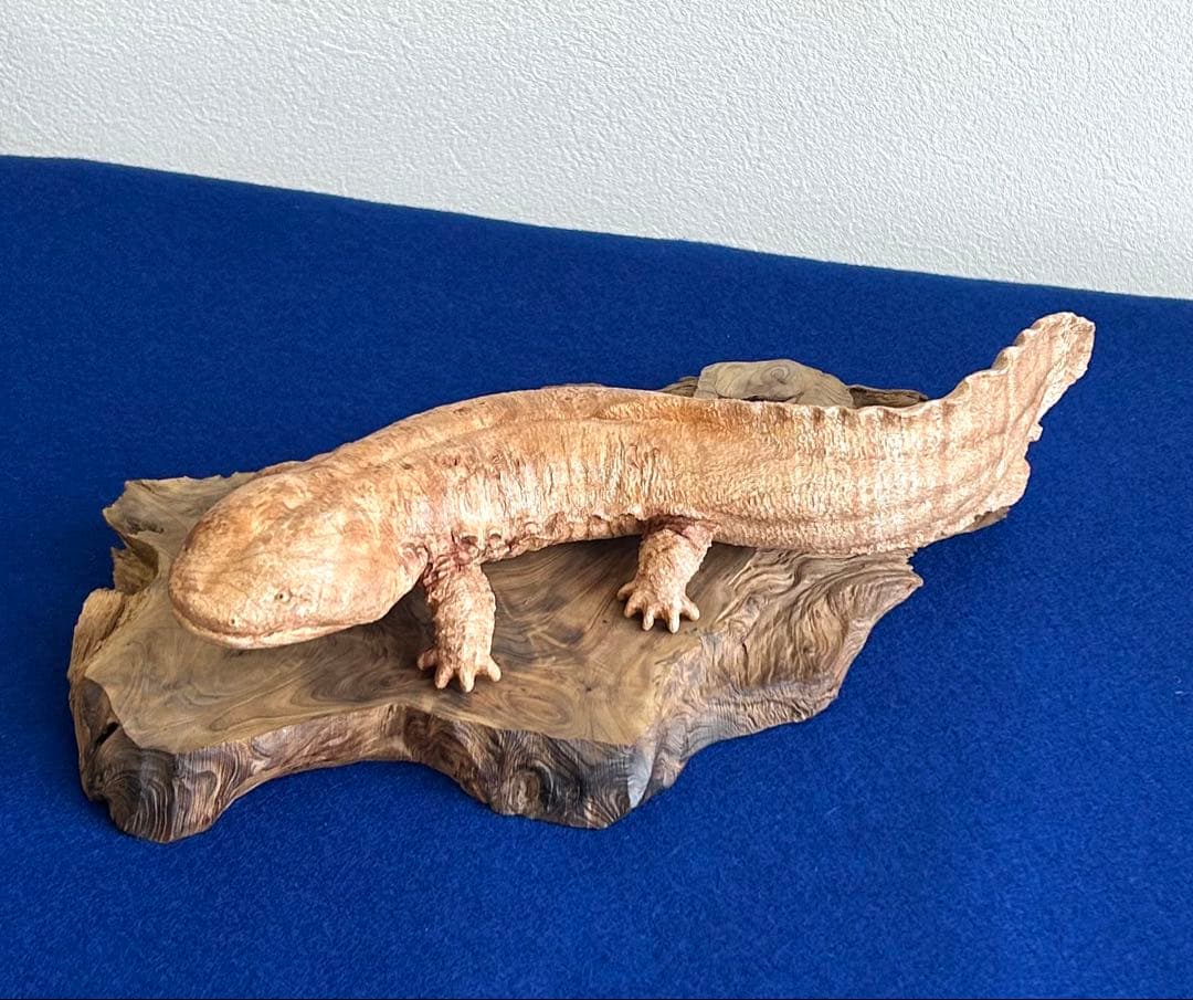 田中鱗水 メープル瘤材彫オオサンショウウオ 26cm 125.52g 神代杉台付