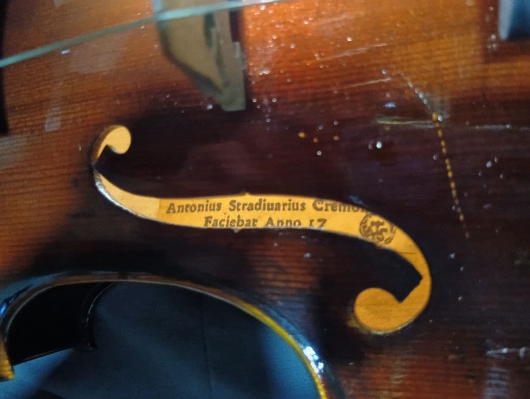 激安 Antonius Stradivarius Cremoncnfis 裏単板