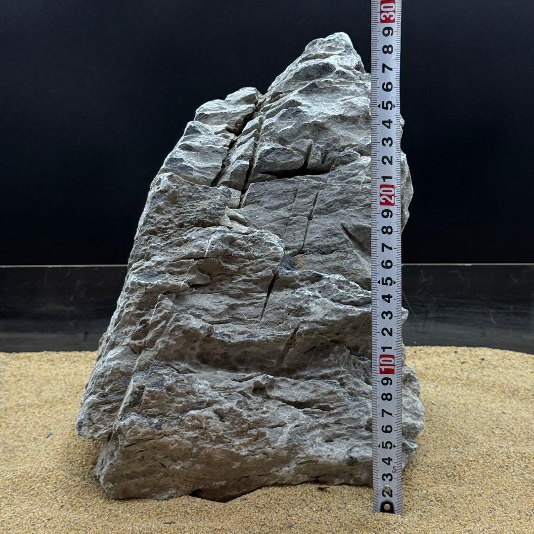 MSS-6815 セレクト品青龍石33cm親石　龍王石　竜王石