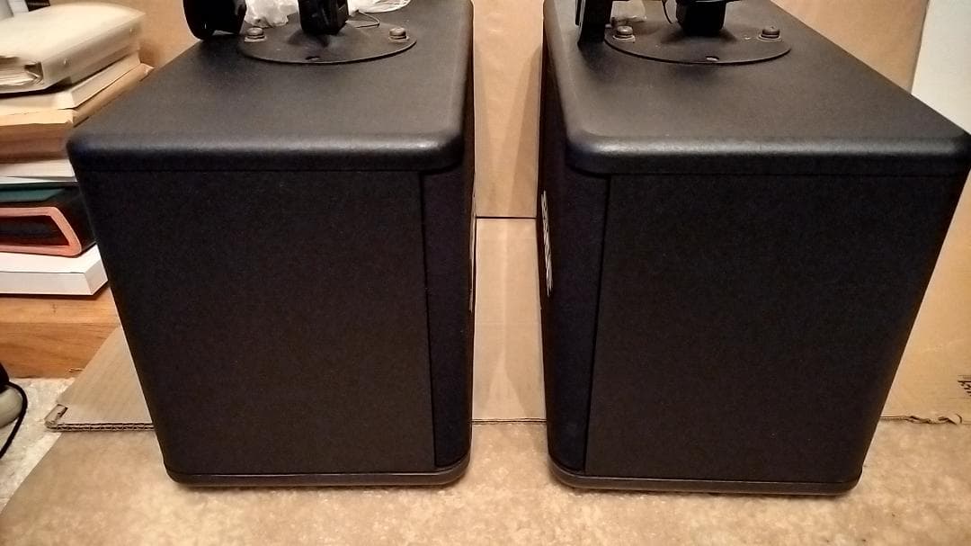 BOSE ボーズ 301 AV MONITOR スピーカー ペア