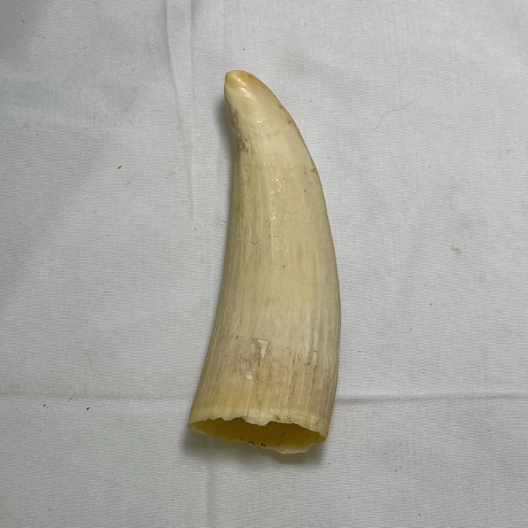 ポ*読様 【中古】海洋工芸社 くじら工芸 鯨 置物 インテリア