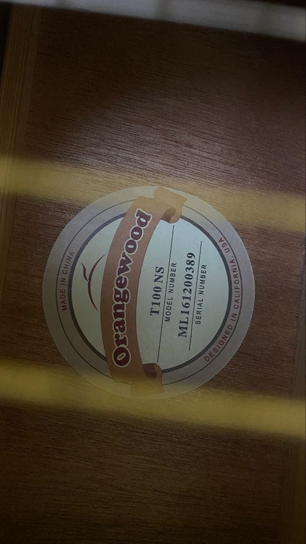 Orangewood T110 NS アコースティックギター