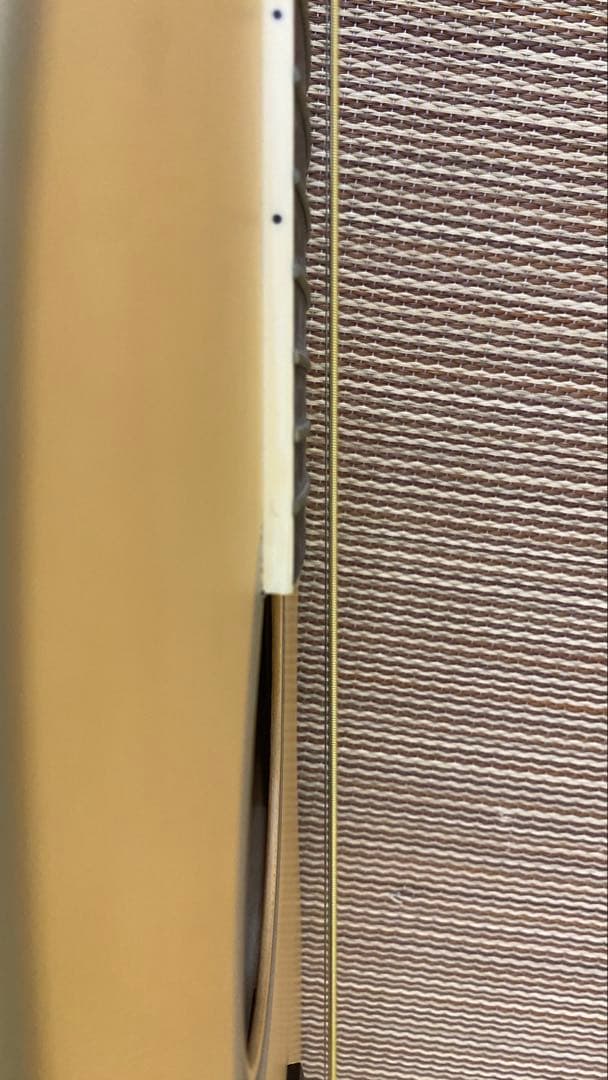 Orangewood T110 NS アコースティックギター