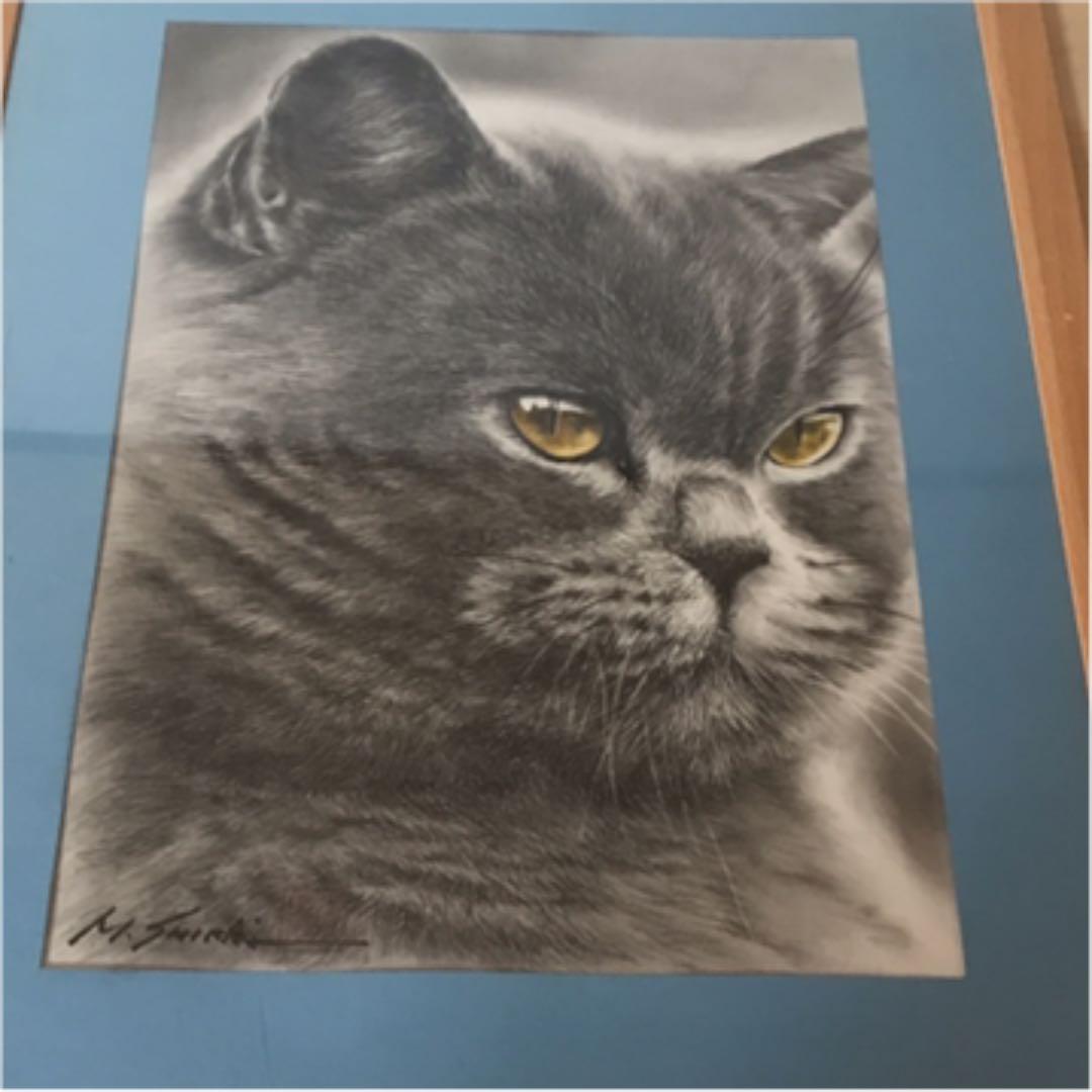 鉛筆画　猫