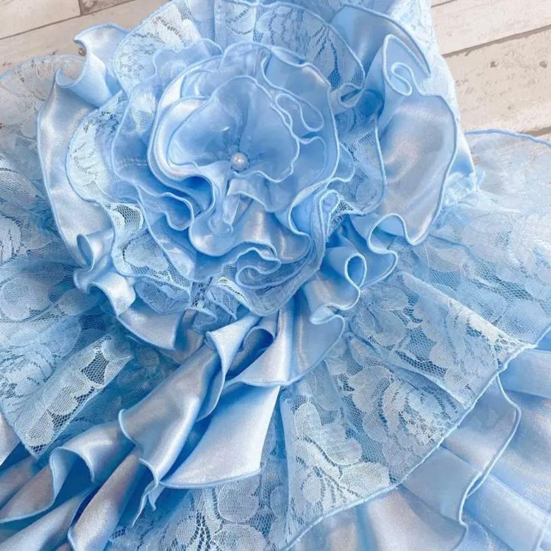 犬のウェディングドレス✨カラードレス 水色 M