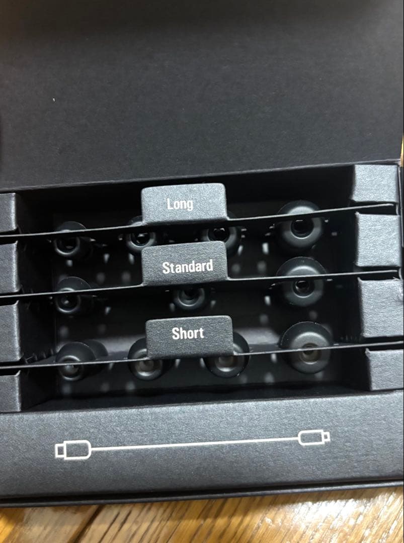 audio-technica ATH-TWX9 ワイヤレスイヤホン