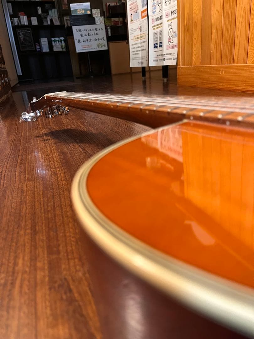 Takamine エレアコ PT-106