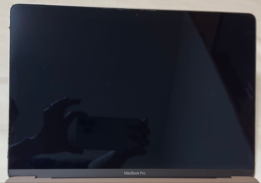 Apple MacBook Pro 2018 model-a1989 ジャンク