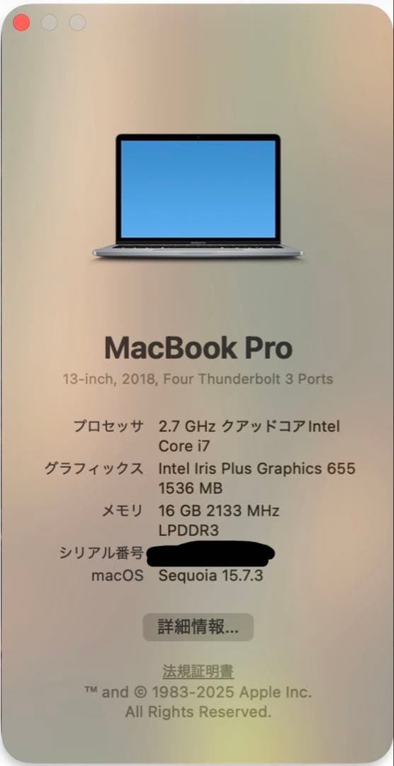 Apple MacBook Pro 2018 model-a1989 ジャンク
