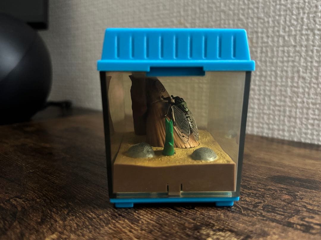 TOMY 虫かごギャラリー　セミ　ツクツクボウシ　昆虫　フィギュア　ミニチュア