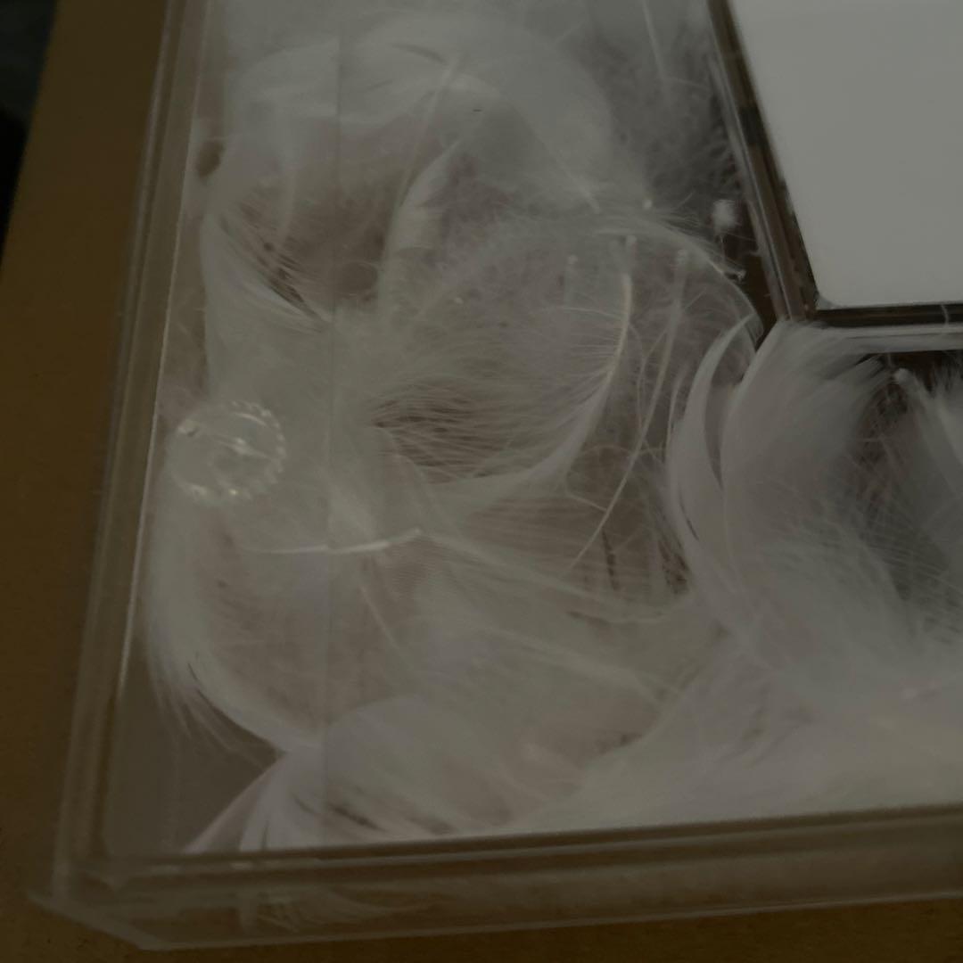 hide with Spread Beaver hide memorial羽毛