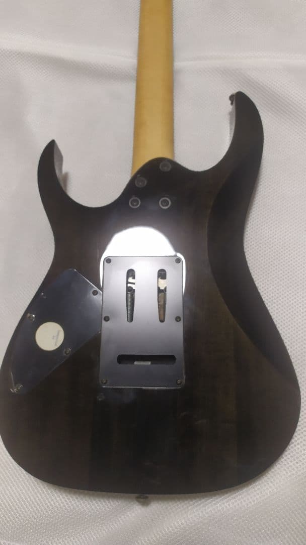 ギター Ibanez RG270SE