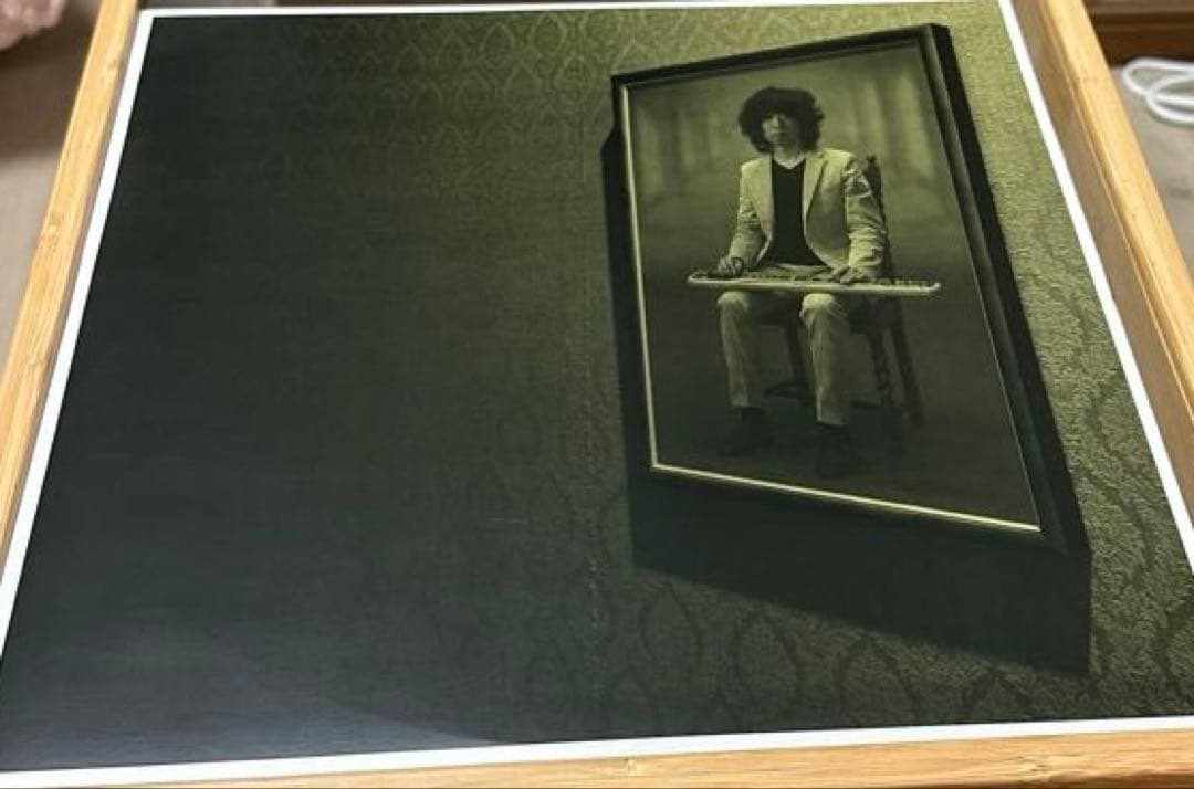 坂本慎太郎　ナマで踊ろう　レコード　海外版