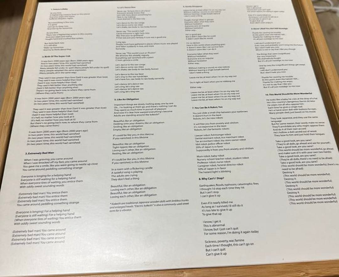 坂本慎太郎　ナマで踊ろう　レコード　海外版