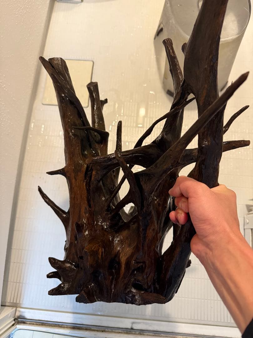 ADA ホーンウッド　2本セット　特大　送料無料