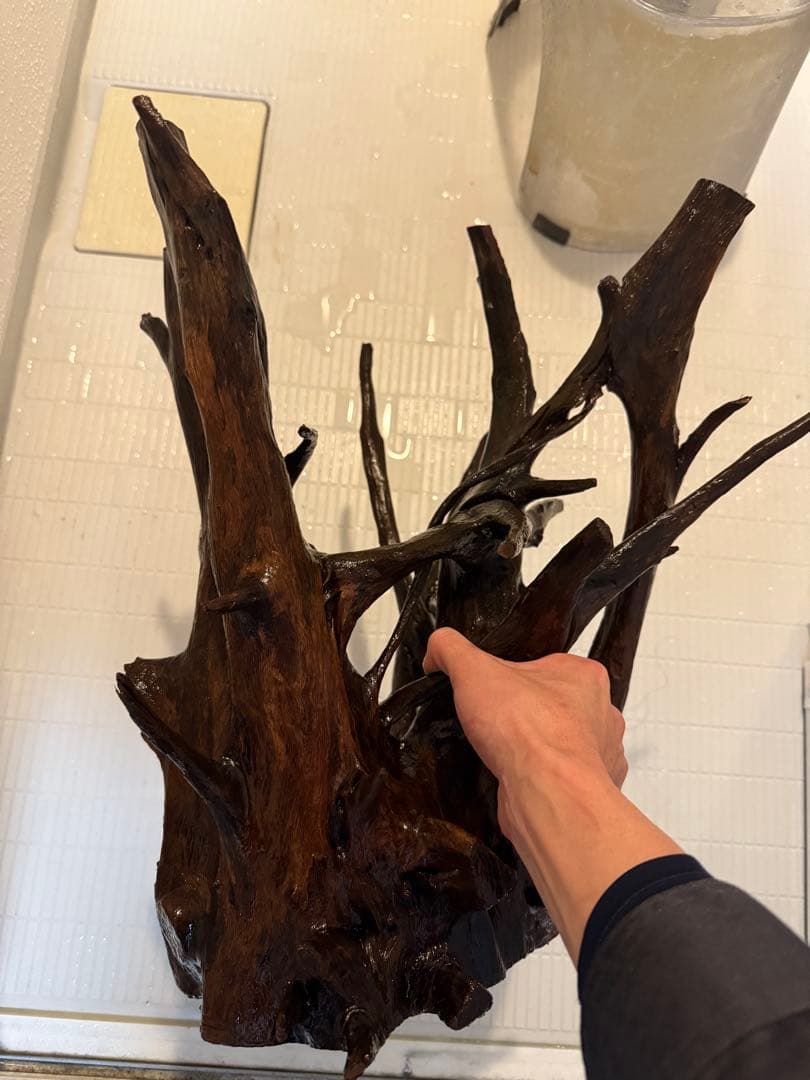 ADA ホーンウッド　2本セット　特大　送料無料