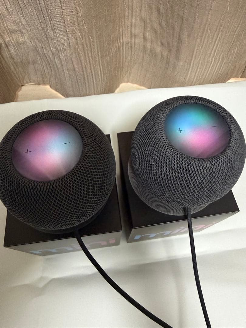 Apple Pod mini 2台セット