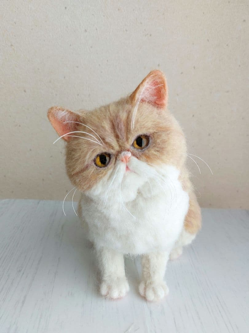 羊毛フェルト　エキゾチックショートヘア