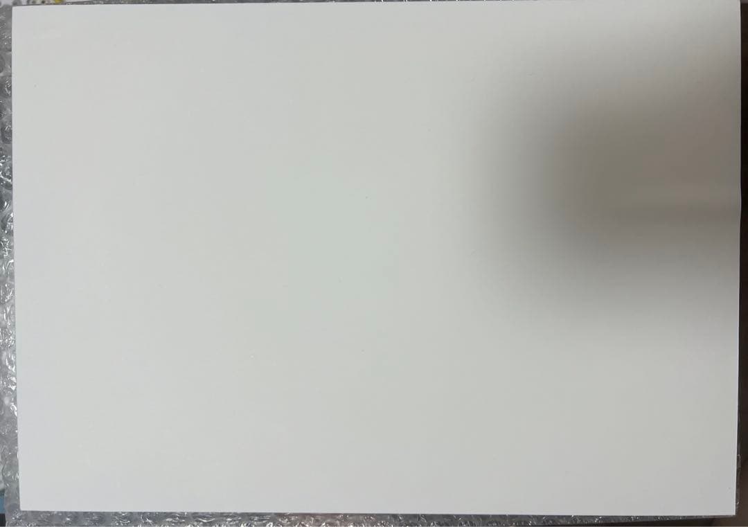 乃木坂46 5期生　写真集　サイン入りパネル