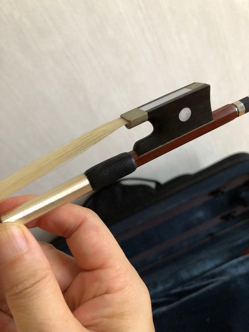 Carlo giordano VS-2 バイオリン本体 茶色 ケース付き