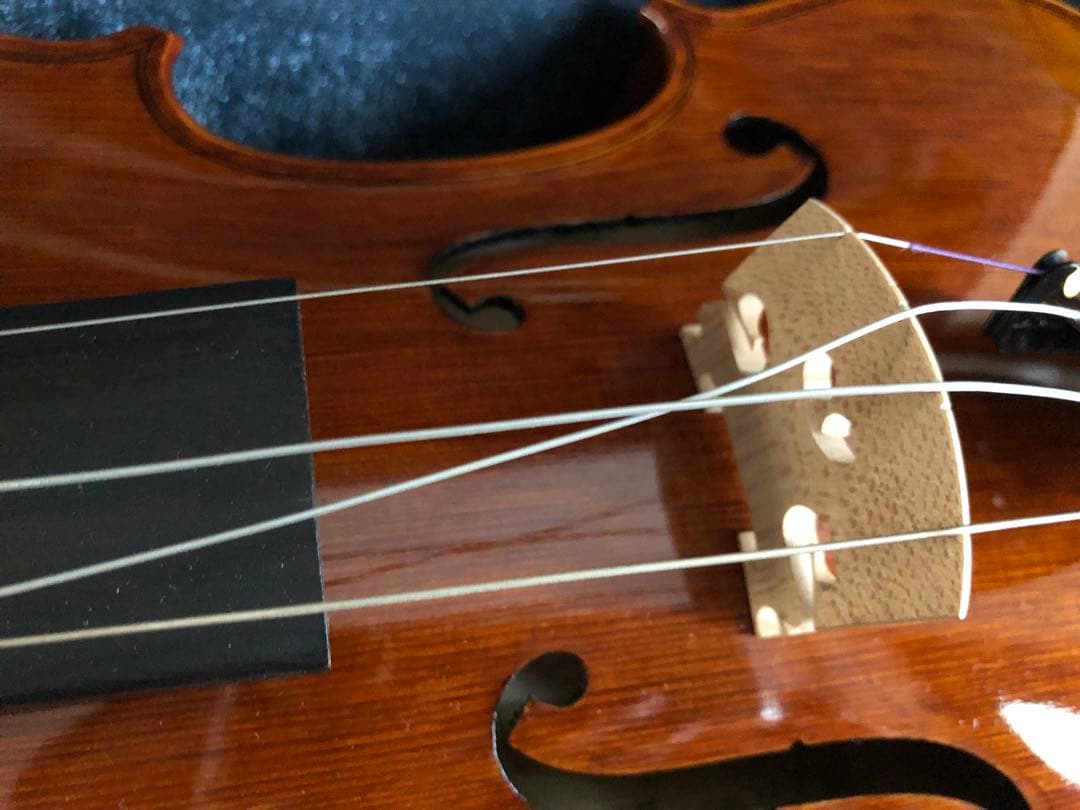 Carlo giordano VS-2 バイオリン本体 茶色 ケース付き