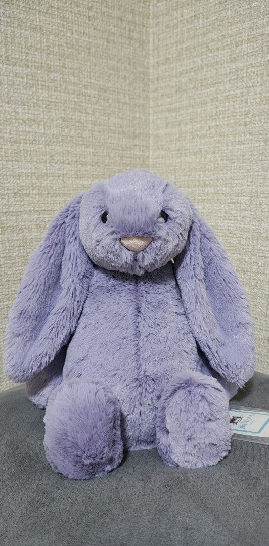 2025新作新品　bashful　viola　bunny うさぎ