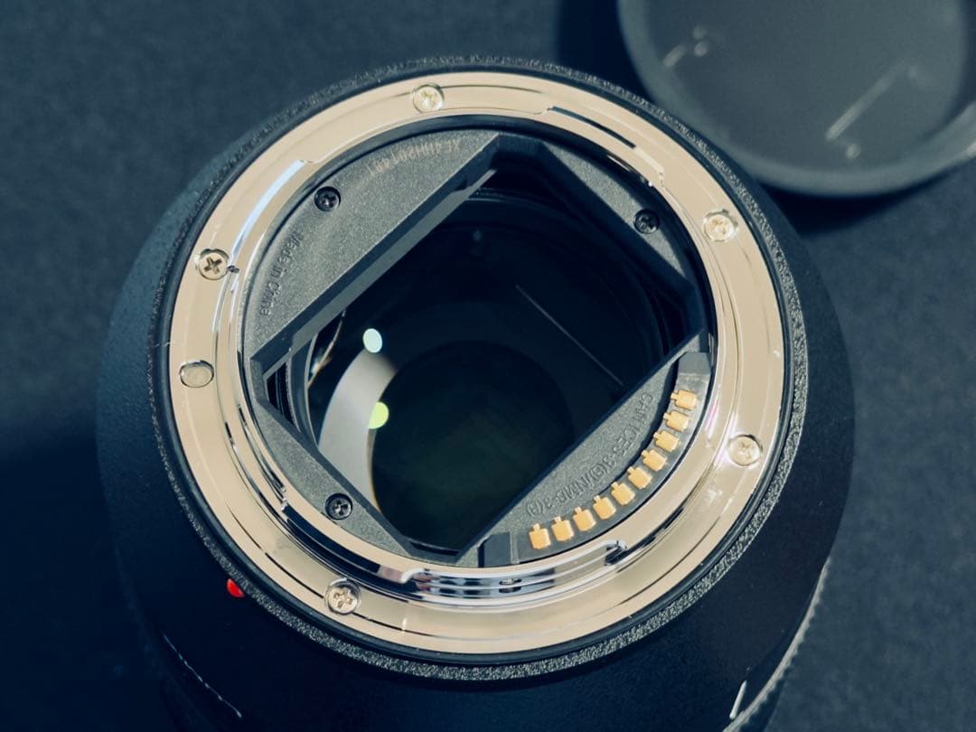 LUMIX S 24-105mm F4 MACRO O.I.S. レンズ